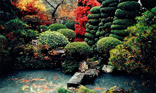 Jardines japoneses y enfermedad cerebral