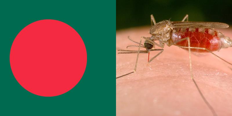 Malaria in Bangladesh