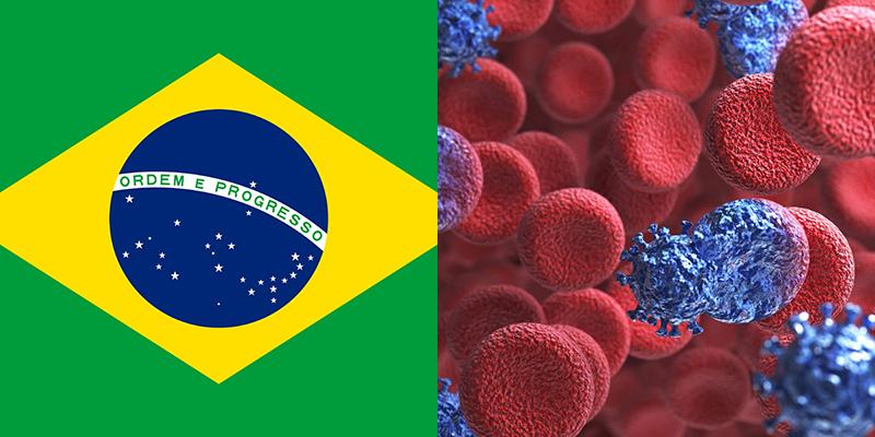 Hivaids In Brazil 