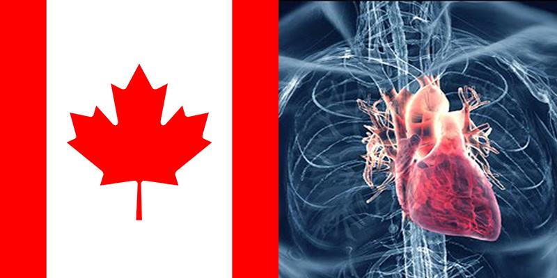 how many die of heart disease in canada each year