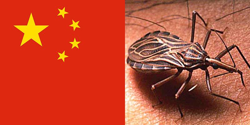 Chagas disease in China